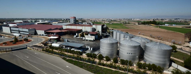 精煉生活，滋養未來——XX油脂公司簡介